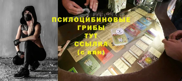 сатива Алексин
